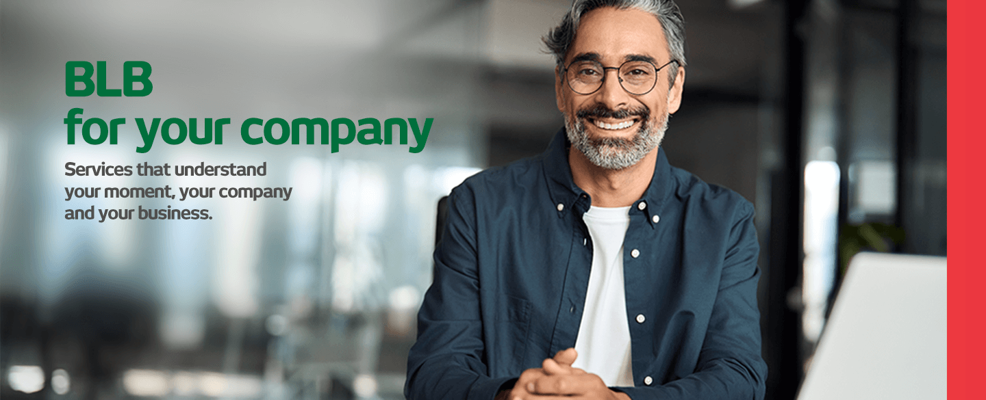 BLB para sua empresa – EN