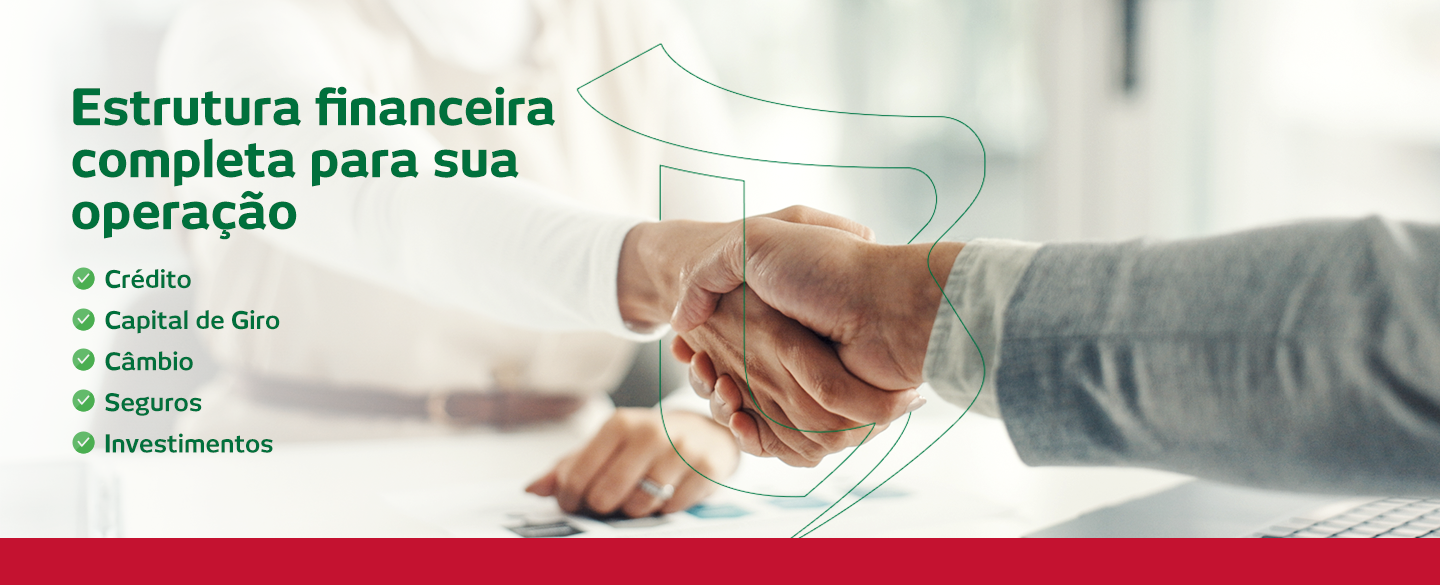 Estrutura financeira home